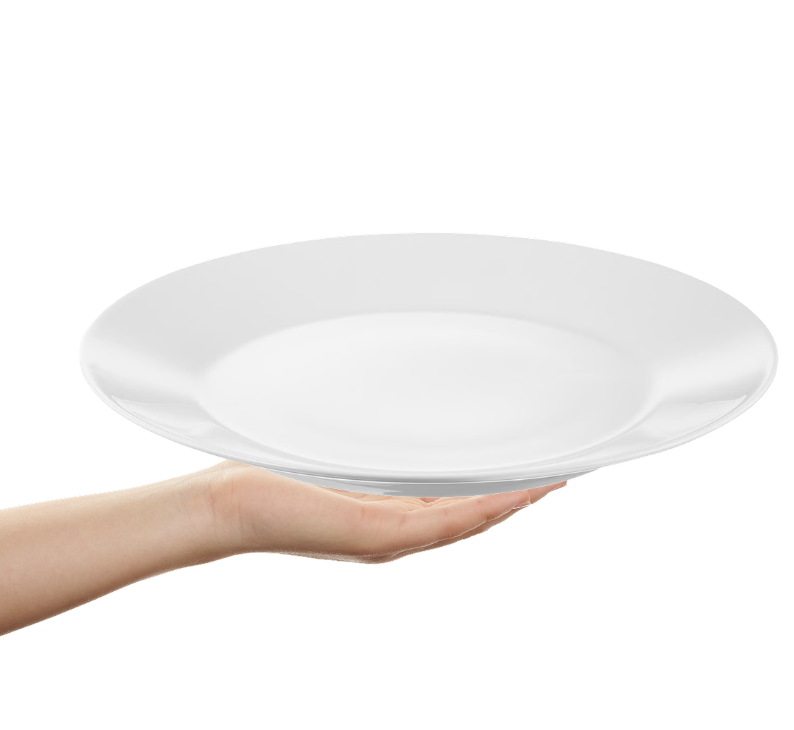 Hand holding plate